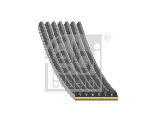 Ιμάντας poly-V  